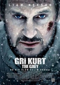 Gri Kurt